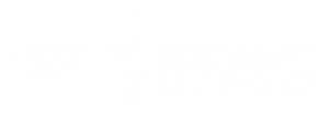 Evidence Based Acupuncture logo white