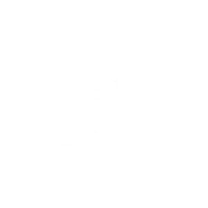 Professional Standards Authority logo white